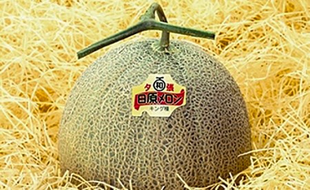 【先行予約】極上の一品「日原メロン」2玉×2品種食べ比べ定期便 北海道産赤肉メロン