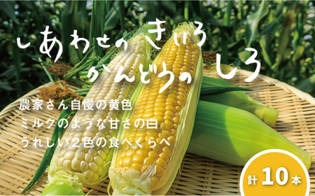 【先行予約】大地の恵み「とうもろこし2色セット」10本