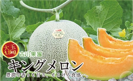 【先行予約】豊潤な香り「特選甘熟キングメロン」1玉 6,930円