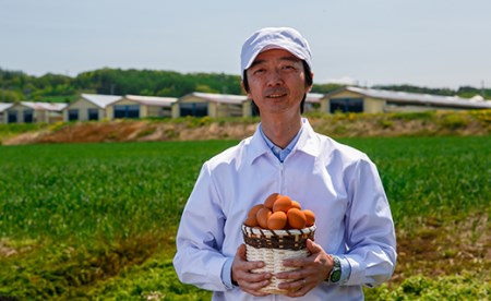 【卵12回定期便】北海道産たまごを食べ比べ「とうきびたまご３種」24個×12回発送 酒井農場
