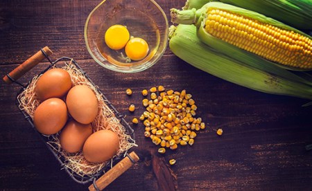 【卵6回定期便】北海道産たまごを食べ比べ「とうきびたまご3種」36個×6回発送 酒井農場