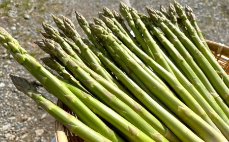 【先行予約】新鮮！春採り グリーンアスパラガスLサイズ1kg 東山農場