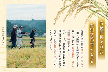 米 令和7年産 石川県産 コシヒカリ 5kg x 1袋 [農事組合法人かさの郷 石川県 津幡町 tb17bgj610003] 