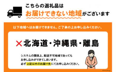 アイス 美・ジェラートギフトセット 500ml×4個 [アーリオ・オーリオ 石川県 津幡町 28ae0002] アイスクリーム ジェラート スイーツ デザート 詰め合わせ セット バニラ オレンジ チョコ ナッツ 苺 抹茶 小豆 大納言