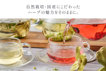 ハーブティー バラエティーパック 6個入り [Mary Jimenez 石川県 志賀町 CK3063]