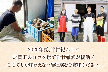 【期間限定発送】 ヨコタ礁 天然 岩牡蠣 生食用 中4個 [望海 石川県 志賀町 BX4017] 岩牡蠣 岩ガキ 岩がき 牡蠣 カキ