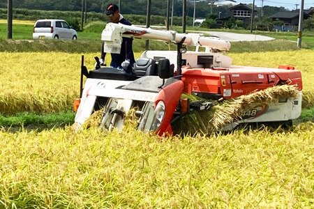 米 定期便 令和7年度産 3種 ゆめみずほ コシヒカリ ひゃくまん穀 精米 5kg 3回 計15kg [YUファーム 石川県 志賀町 CL5003]