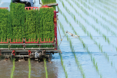 能登米 ぬか湯 30g 4パック 計4回分 [株式会社カラダック 石川県 志賀町 CN4004] 