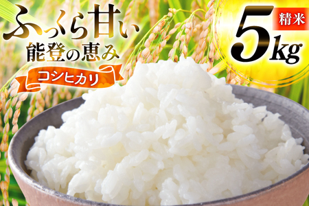 米 令和7年産 コシヒカリ 精米 5kg [能登ファーム志賀 石川県 志賀町 CH4011]