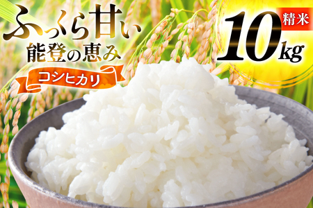 米 令和7年産 コシヒカリ 精米 10kg [能登ファーム志賀 石川県 志賀町 CH4010]