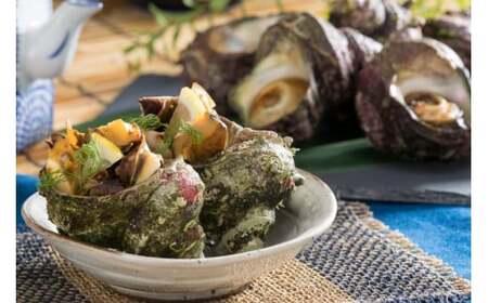 【能登半島 漁協直送！】活 サザエ 計 5kg 前後[JF西海 石川県 志賀町 AM4235]