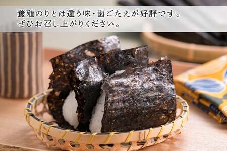 天然岩のり [波の華グループ 石川県 志賀町 BS4103] 海苔 のり 岩のり 岩海苔 天然