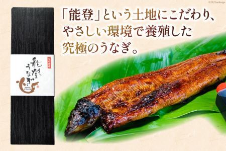 能登うなぎ 蒲焼 [ティ・エス・ピィ 石川県 志賀町 BZ4003]