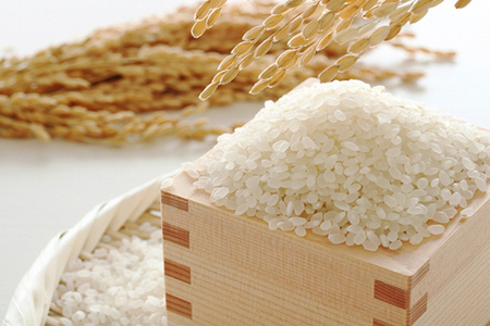 【令和7年産】 米 ひゃくまん穀 10kg [トミヨの里 石川県 志賀町 CB4036]