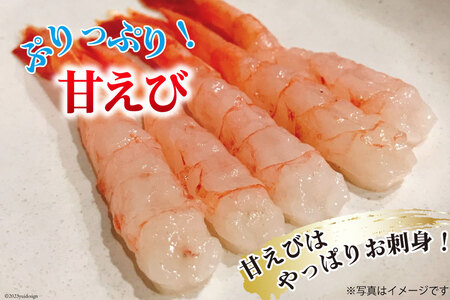 【能登半島 漁協直送！】活〆 甘エビ 100尾 [JF西海 石川県 志賀町 AM4233]