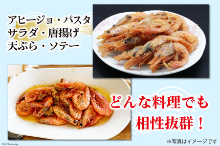 【能登半島 漁協直送！】活〆 甘エビ 100尾 [JF西海 石川県 志賀町 AM4233]