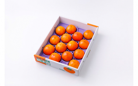 【期間限定発送】 柿 紋平柿 14個 計2.5kg さわし柿 [東間生産組合 石川県 宝達志水町 38600413]