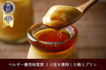 プリン 能登の極上素材プリン 6個 セット 90g×6個 シロップ 45g×2本 [宝達山本舗松月堂 石川県 宝達志水町 38600454]