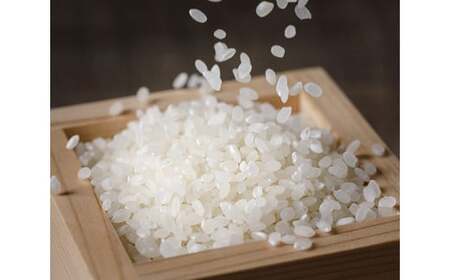 のと米 こしひかり 精米 20kg [はくい農業協同組合 石川県 宝達志水町 38600499]米 お米 ごはん コシヒカリ 美味しい