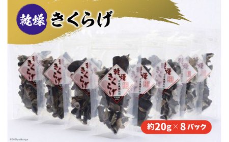 乾燥きくらげ　約160g [今浜苑 石川県 宝達志水町 38600519]