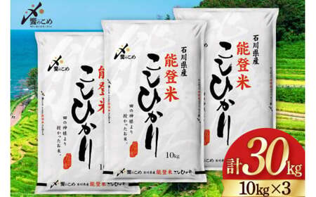 米 令和7年 能登米 こしひかり 精米 30kg [38601196] 米