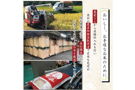 【期間限定発送】 米 令和7年 能登米 こしひかり 精米 5kg [中橋商事 石川県 宝達志水町 38601139]