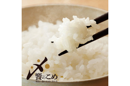 【期間限定発送】 米 令和7年 能登米 こしひかり 精米 5kg [中橋商事 石川県 宝達志水町 38601139]