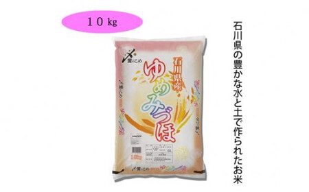 【期間限定発送】 米 令和6年 ゆめみづほ 精米 10kg [中橋商事 石川県 宝達志水町 38601079] お米 コメ 白米 ごはん 美味しい 石川