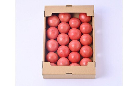 志宝トマト 約 4kg [モアショップヤマモト 石川県 宝達志水町 38601137] トマト とまと 野菜 食品 石川県産