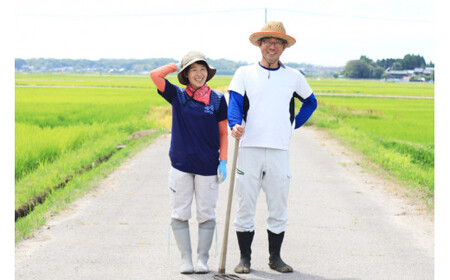 【先行受付】米 令和6年 能登米 コシヒカリ 精米 5kg [みどりの波 石川県 宝達志水町 38600567] お米 ごはん 白米 こしひかり 美味しい