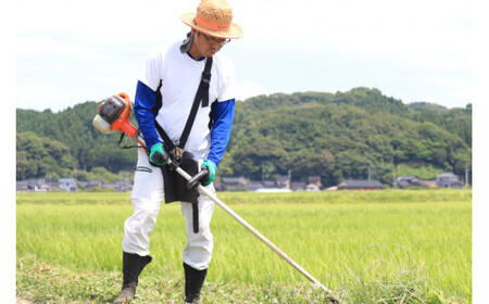 【先行受付】米 令和6年 能登米 コシヒカリ 精米 5kg [みどりの波 石川県 宝達志水町 38600567] お米 ごはん 白米 こしひかり 美味しい