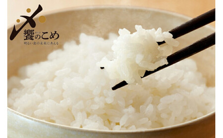 【期間限定発送】 米 令和7年 ひゃくまん穀 精米 10kg ×2袋 計 20kg [中橋商事 石川県 宝達志水町 38601202]