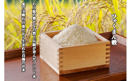 期間限定発送】 米 令和6年 ひゃくまん穀 精米 10kg [中橋商事 期間限定発送】 米 令和6年 ひゃくまん穀 精米 10kg [中橋商事