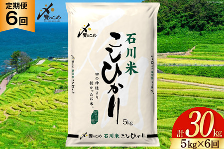 米 定期便 石川米 こしひかり 5kg × 6回 [38601131] 米