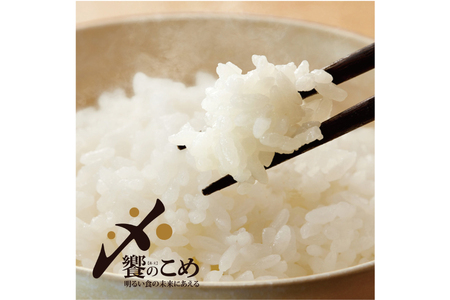 米 定期便 石川米 こしひかり 5kg × 6回 [38601131] 米