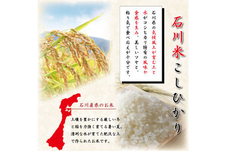 米 令和7年 石川米 こしひかり 5kg 白米 [38601197] 米