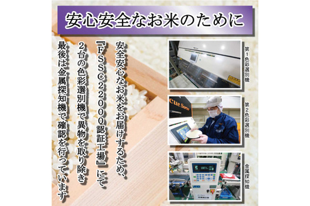 米 令和6年 石川県産 石川米こしひかり【穂立】30kg（10kg ×3袋