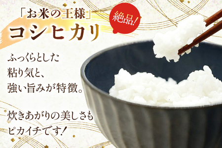 米 コシヒカリ パックご飯 150g ×20パック [翠の波 石川県 宝達志水町 38601227]