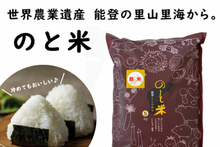 米 令和7年 のと米 こしひかり 精米 5kg 6回定期便 計30kg [はくい農業協同組合 石川県 宝達志水町 38601273]