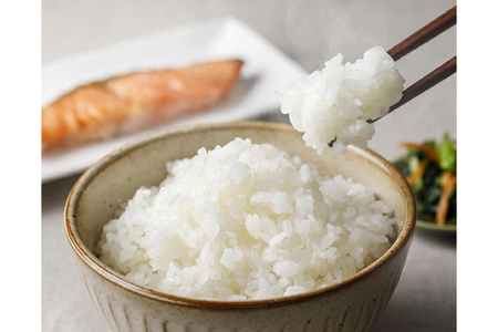 米 令和7年 のと米 こしひかり 精米 5kg 6回定期便 計30kg [はくい農業協同組合 石川県 宝達志水町 38601273]