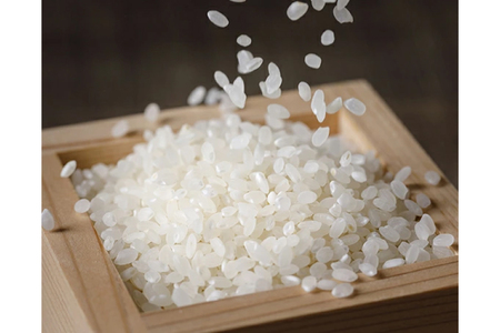 米 令和7年 のと米 こしひかり 精米 5kg 6回定期便 計30kg [はくい農業協同組合 石川県 宝達志水町 38601273]