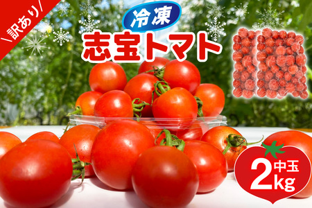 訳あり 野菜 トマト 冷凍志宝トマト（シンディスイート）中玉 2kg [モアショップヤマモト 石川県 宝達志水町 38601220]