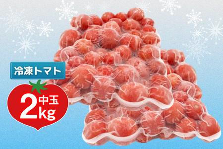 訳あり 野菜 トマト 冷凍志宝トマト（シンディスイート）中玉 2kg [モアショップヤマモト 石川県 宝達志水町 38601220]
