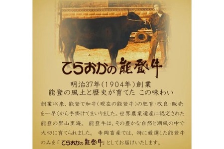 牛肉 能登牛 特選 (4～5等級) しゃぶしゃぶ用 300g 肩 もも肉 [寺岡畜産株式会社 石川県 宝達志水町 38601302]