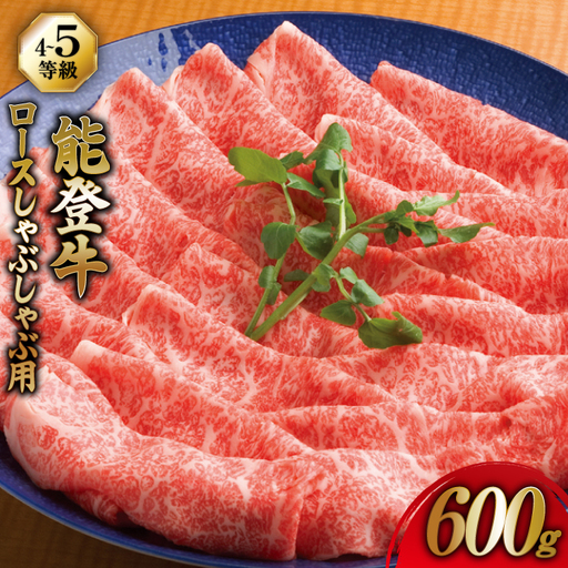 牛肉 能登牛 ロース (4～5等級) しゃぶしゃぶ用 600g [寺岡畜産株式会社 石川県 宝達志水町 38601306]