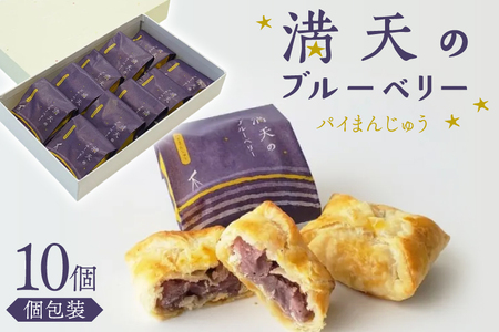 お菓子 個包装 満天のブルーベリー 10個入 [谷口製菓 石川県 宝達志水町 38601295] 