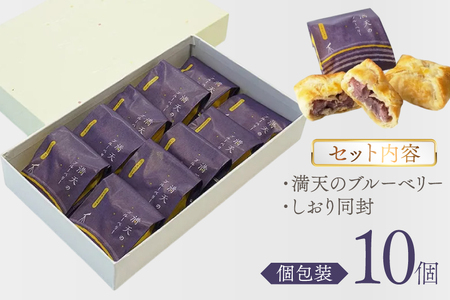 お菓子 個包装 満天のブルーベリー 10個入 [谷口製菓 石川県 宝達志水町 38601295] 