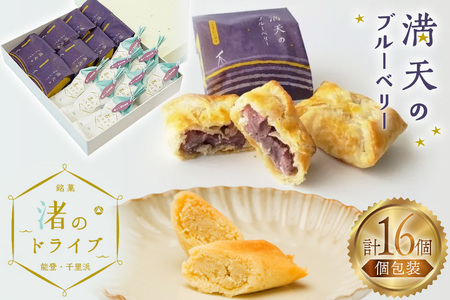 お菓子 個包装 渚のドライブ 満天のブルーベリー 各8個 計16個 [谷口製菓 石川県 宝達志水町 38601292] 
