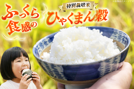 米 令和7年産 特別栽培米 ひゃくまん穀 10kg 白米 [合同会社NotoSunriseFarm 石川県 宝達志水町 38601321] 