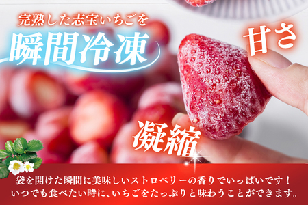 いちご 冷凍志宝いちご 約 2kg [モアショップヤマモト 石川県 宝達志水町 38601348]